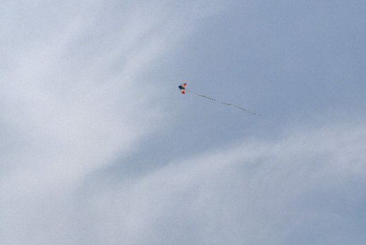 Flying Kite-3