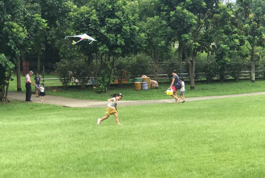 Flying Kite-4