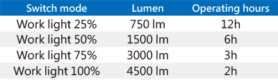4500 Lumen Twin Head SMD Site Light (45W)-9TA45A
