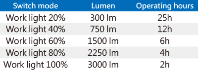 Luz de Sitio ultracompacto de 3000 Lumen (30W)-9TA48