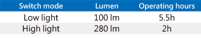 Linterna de 300 lúmen-9TA52